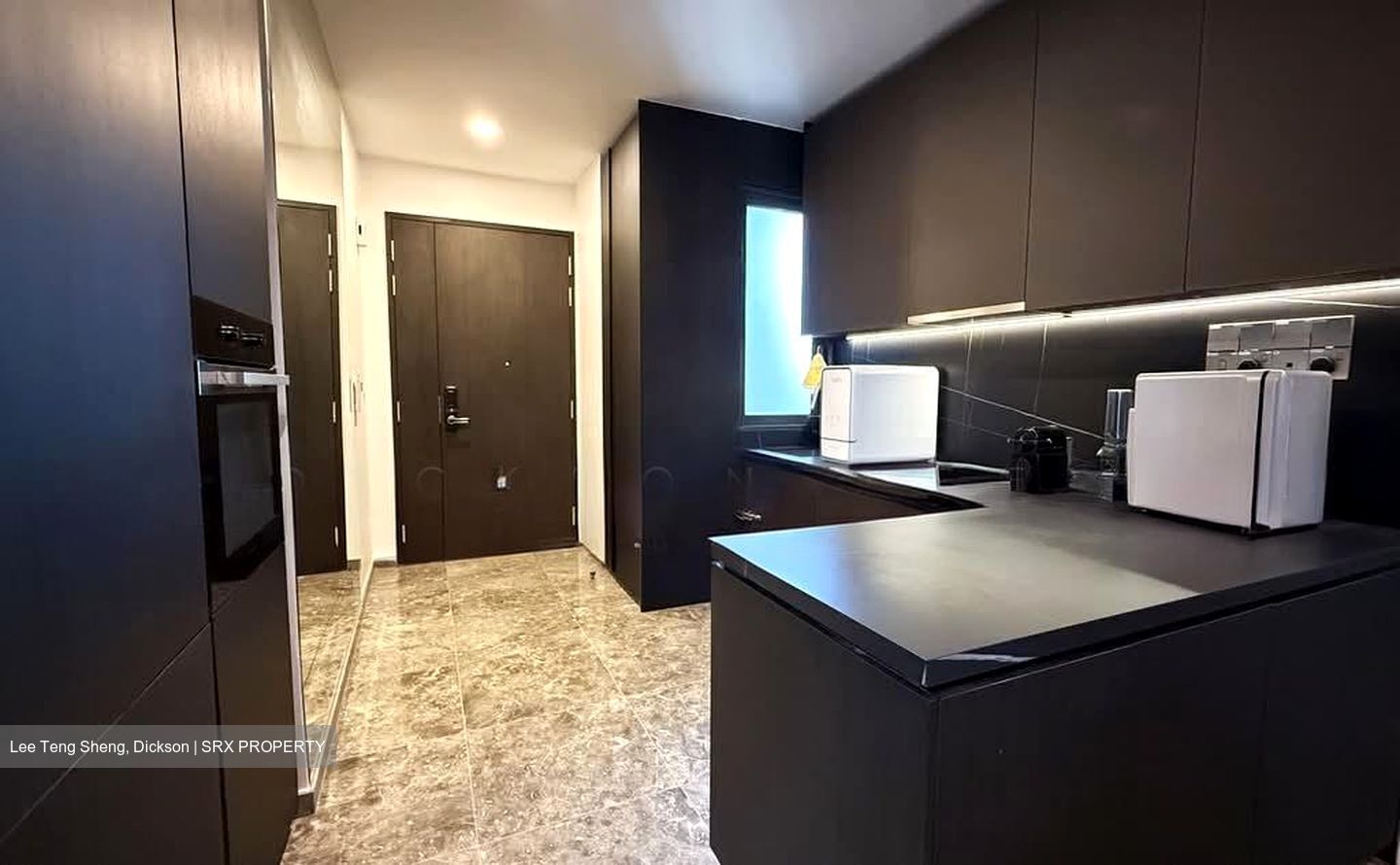 Hyll On Holland (D10), Condominium #576352441